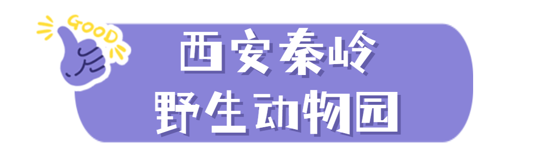 6486efdf9c588.png