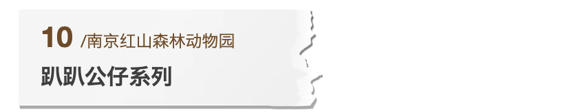 65e8312f738c7.png