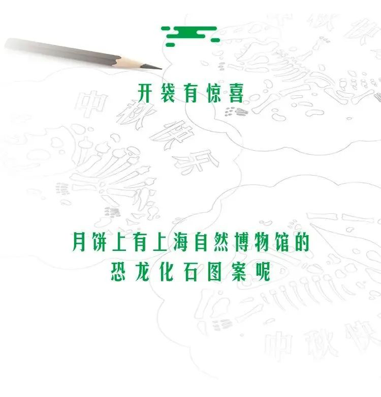 630f0907e598d.png