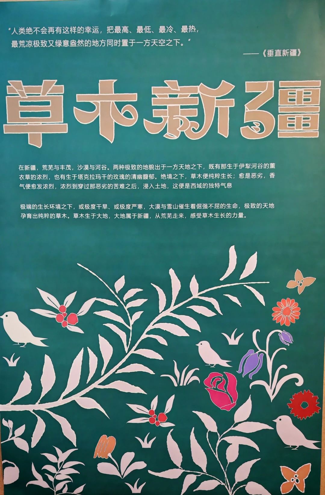 67d7d81dc8220.jpg