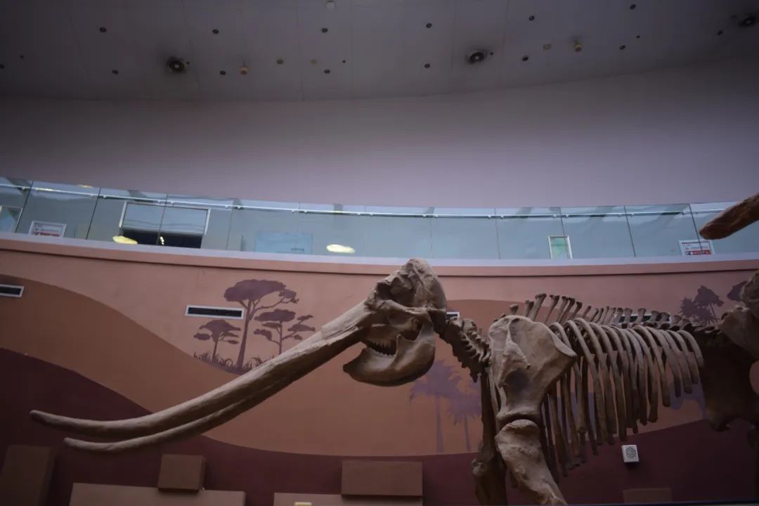 62988ad748043.jpg