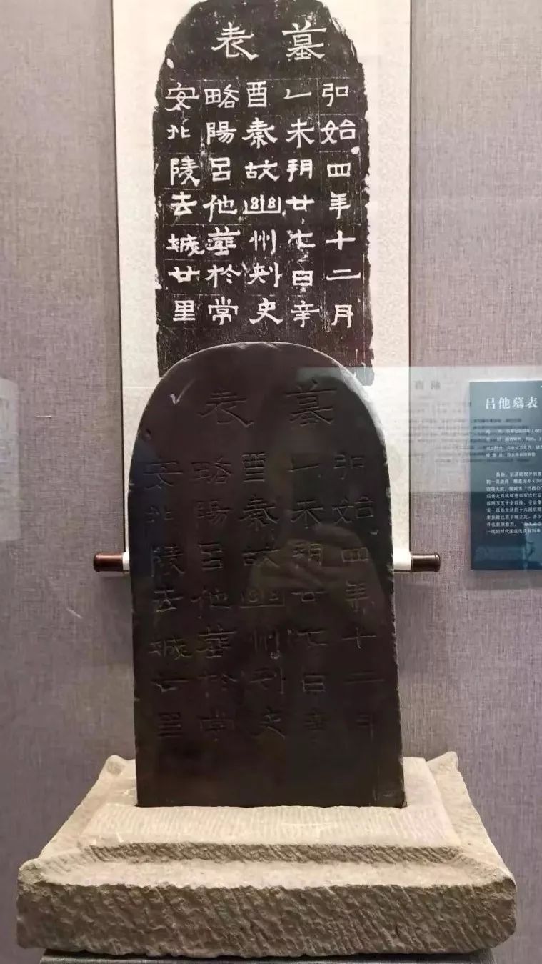 5dcd130091a1d.jpg