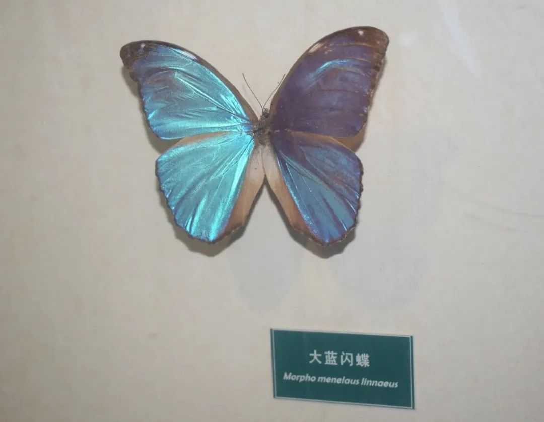 62988cf7107ec.jpg