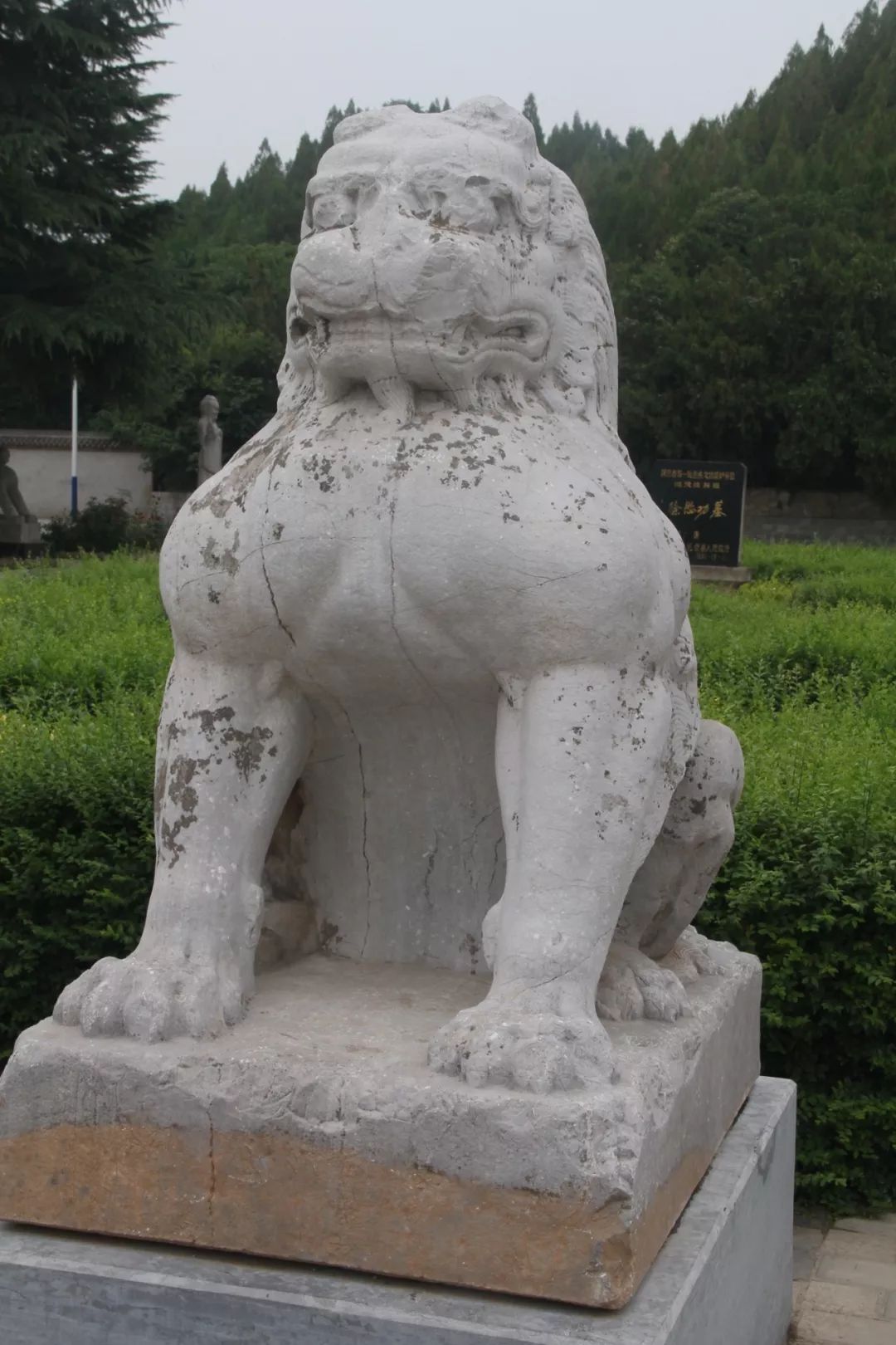 5d528c0d0450d.jpg
