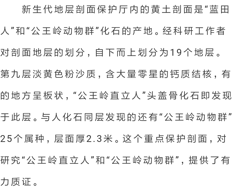 626cd33266079.png