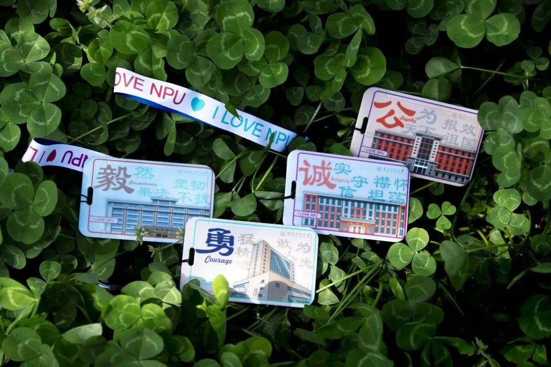 6374cb07746c1.jpg