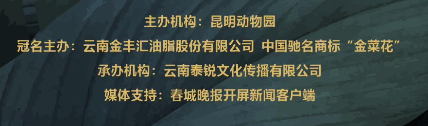 5ffc216bc578b.png