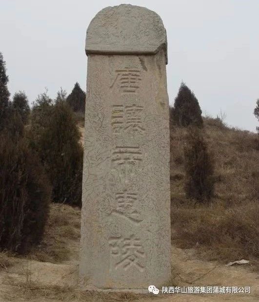 6225d7cde895b.jpg