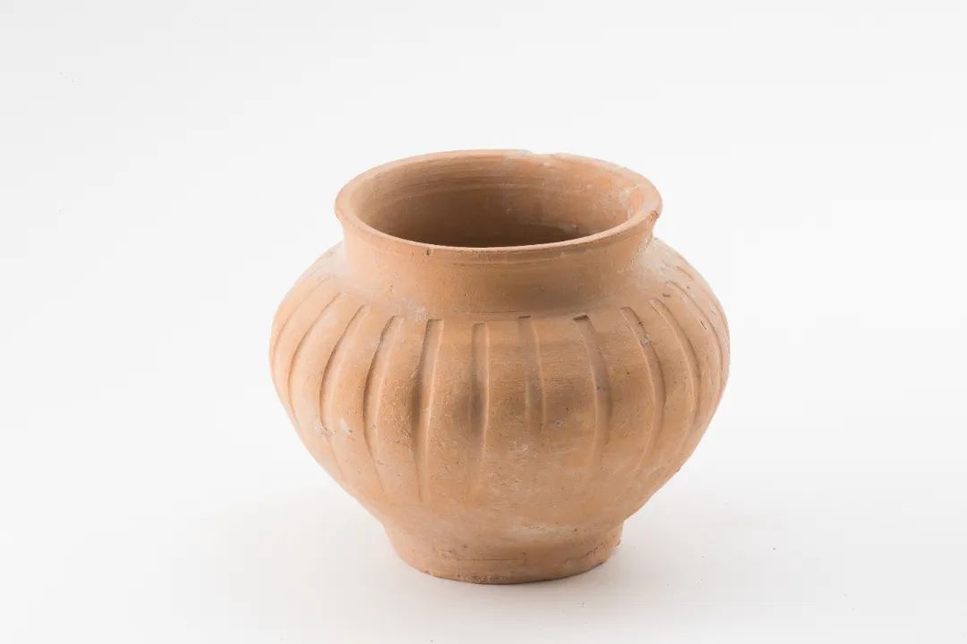66b587c744495.jpg
