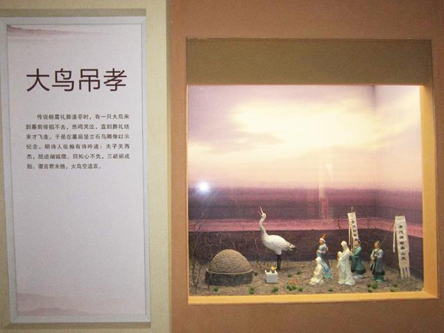 61f183943763b.jpg