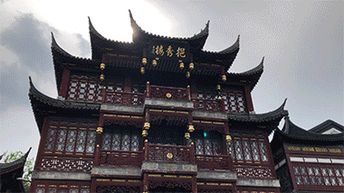 5f3121480f011.gif