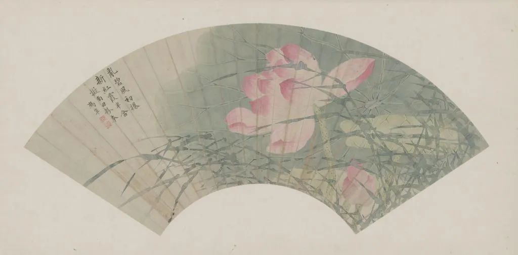 667bb7c87192f.jpg