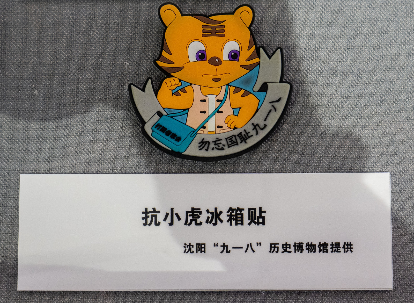 5f3517e0405fd.jpg