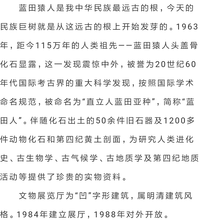 626cd3323c114.png