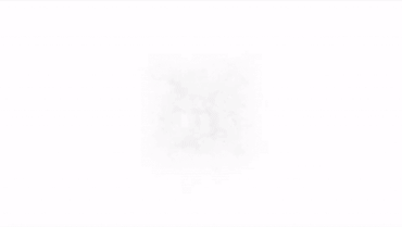 6335038991c21.gif