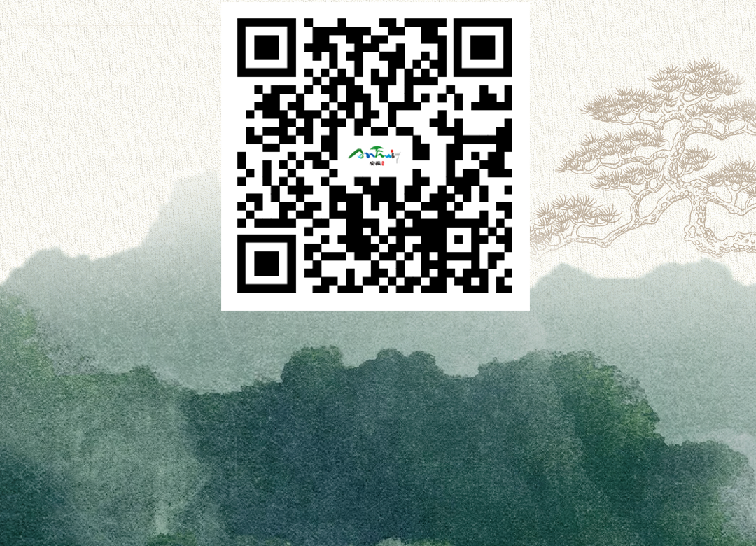 66bb0df25723e.png