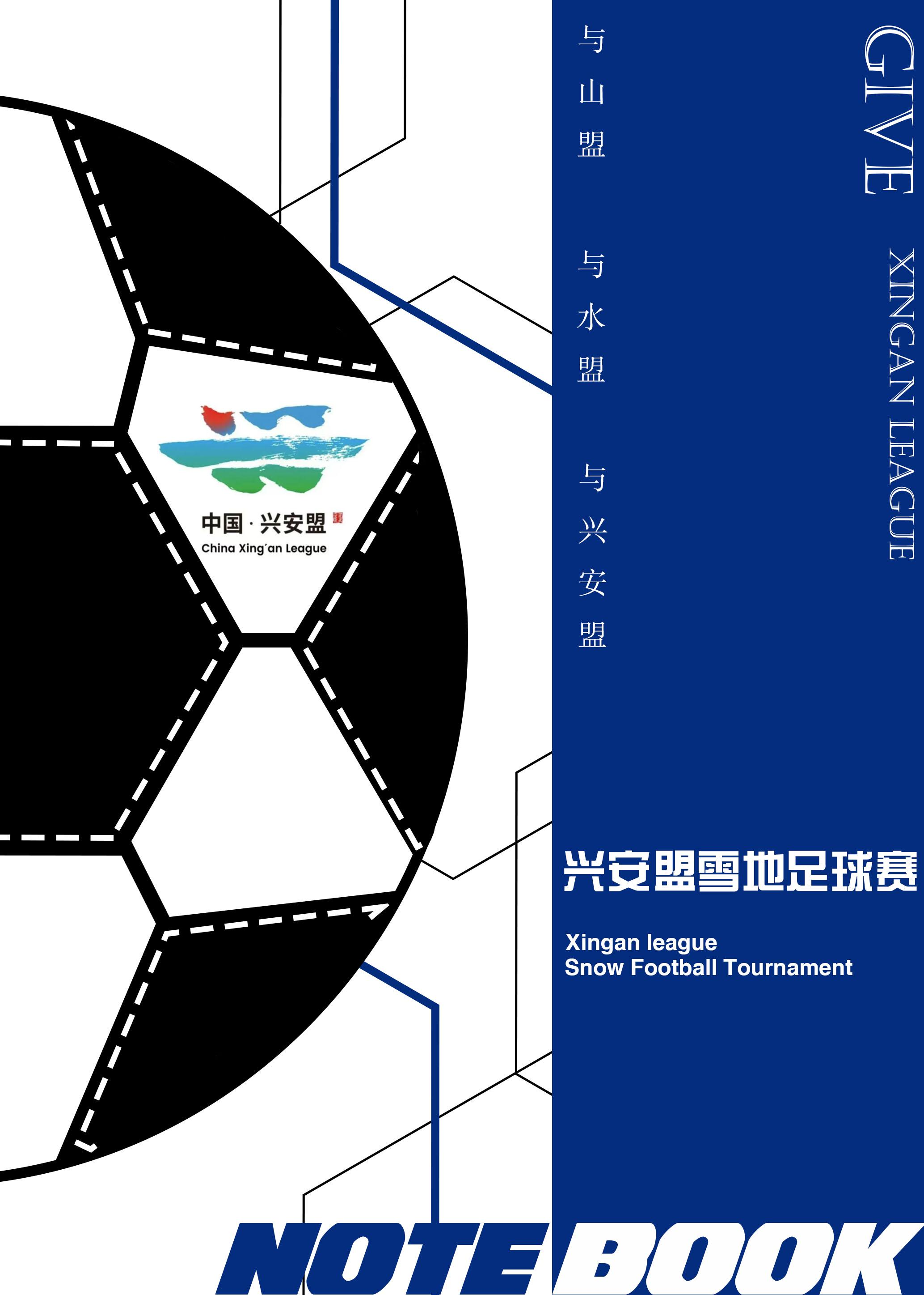 6768c95c6d541.png