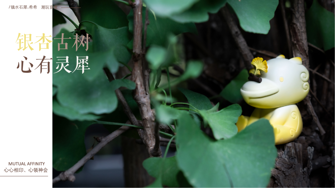 626b884d0ccad.png