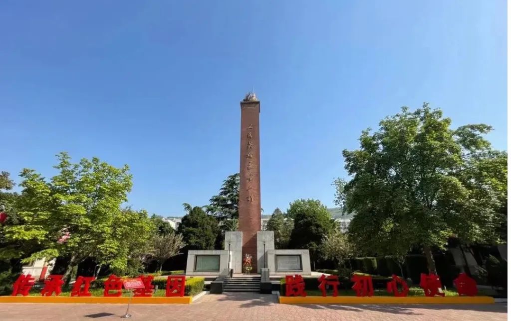 66ab4532c8667.jpg