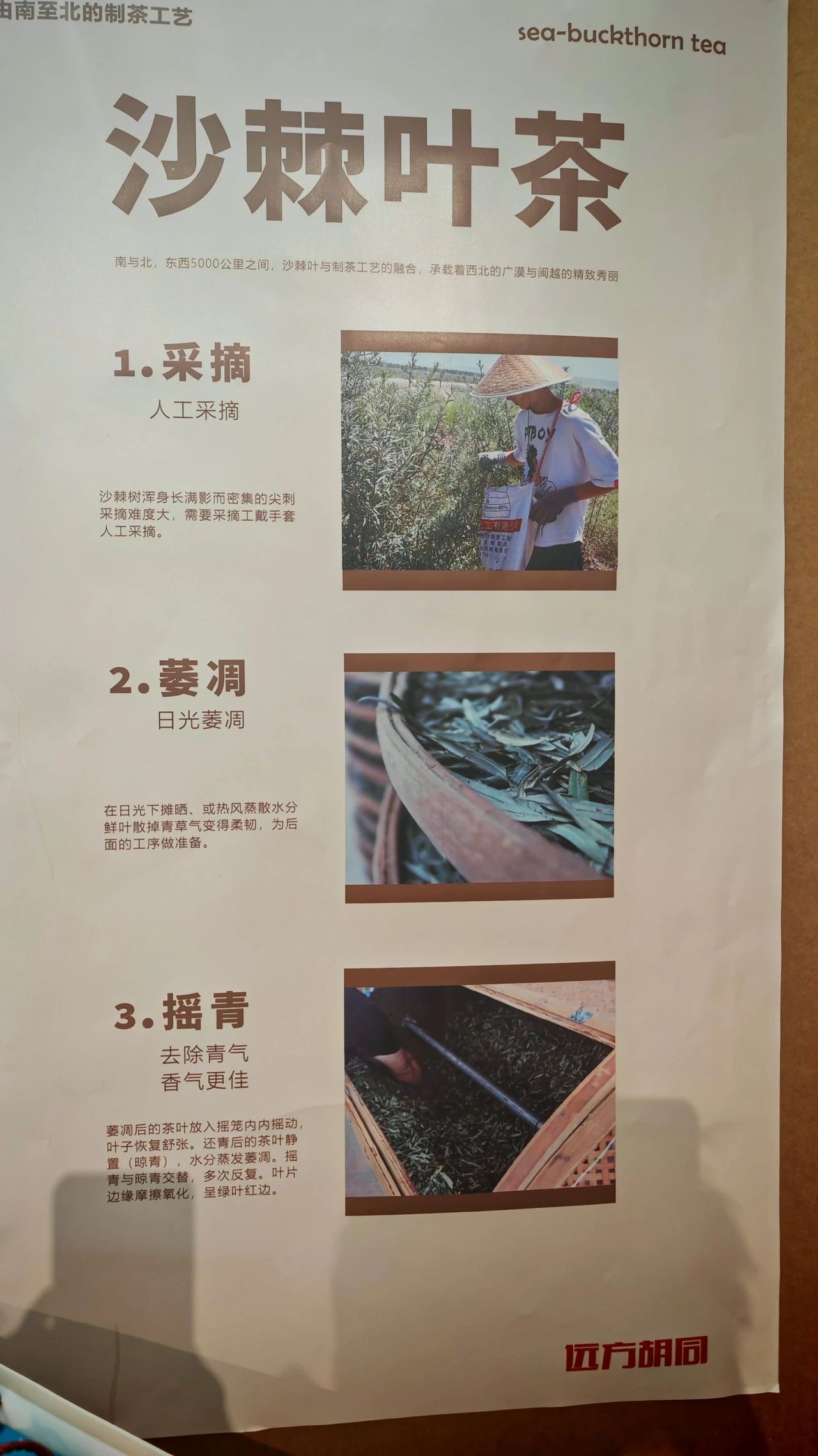 67d7d82007fed.jpg