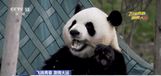64c7c44b2e8d5.gif