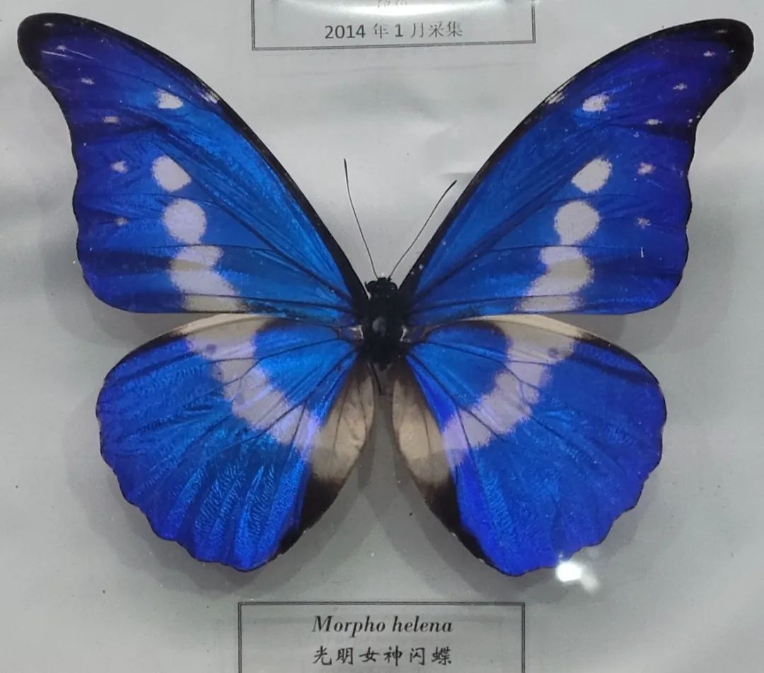 66b9d24437c8a.jpg
