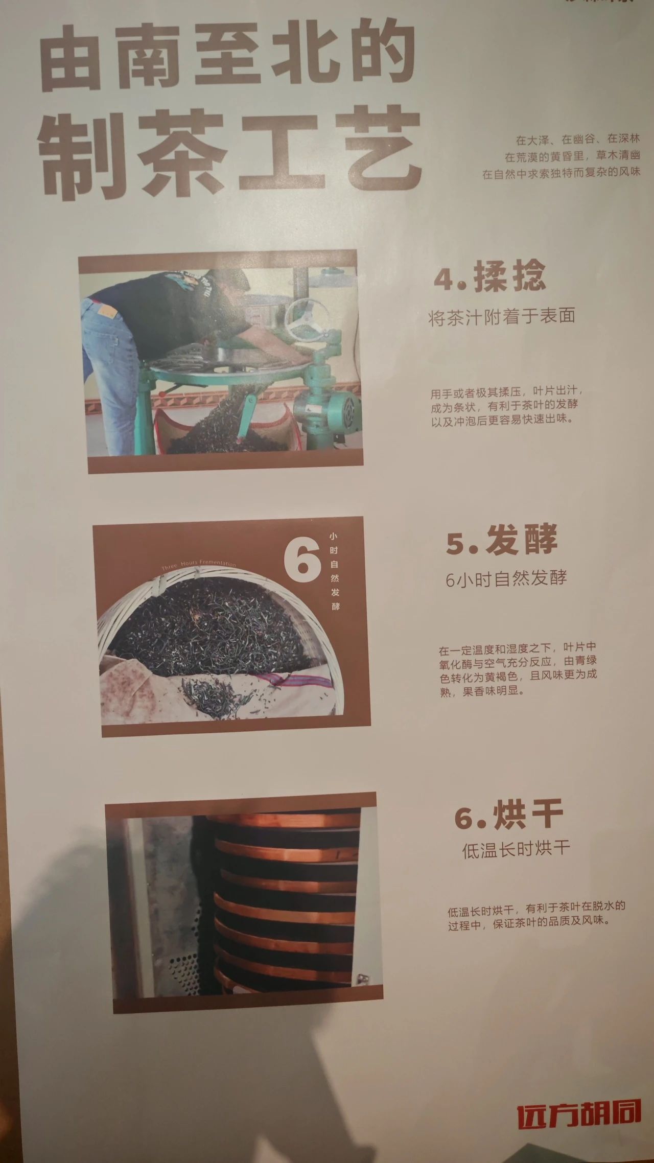 67d7d81f3d343.jpg
