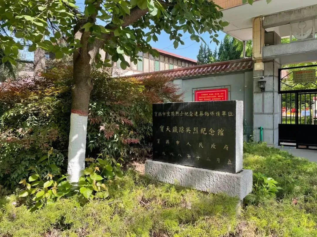 66ab4532bb4ae.jpg