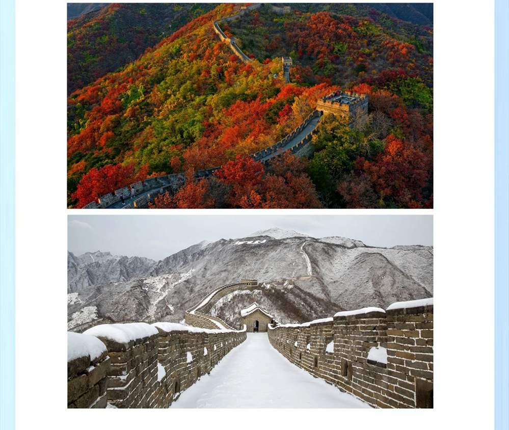 6694d97541214.png