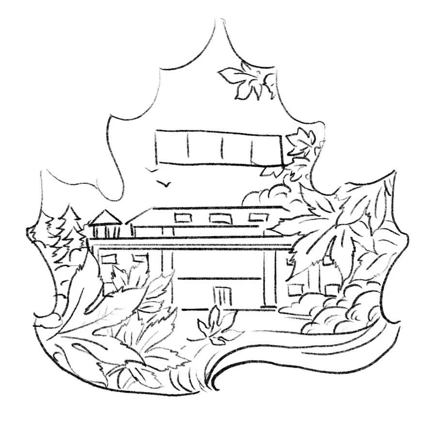 668ce6fd108d5.jpg