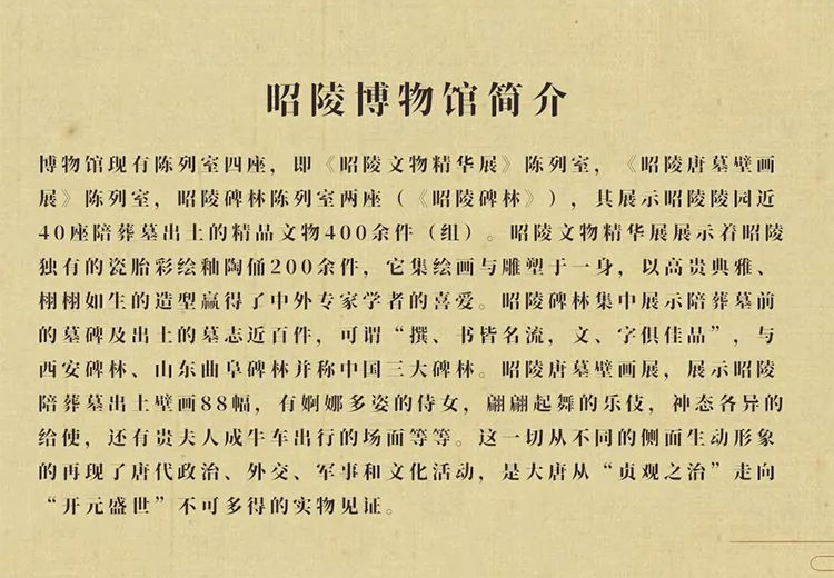 62033465dba07.png