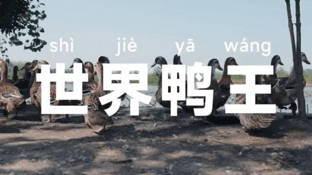 656ef8a3b4ea1.gif