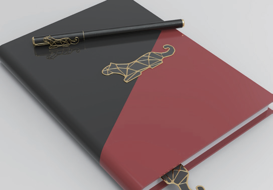 644a2ca311a6c.png
