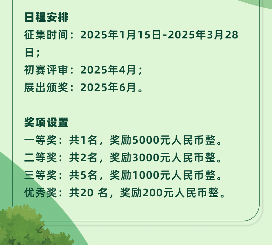 67bf21c31de51.png