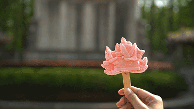6253fc4da775a.gif