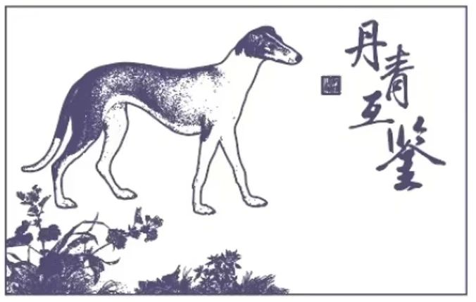 66c466634543a.jpg