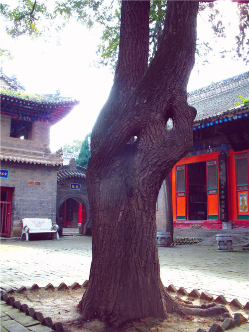 6103ce8988014.jpg