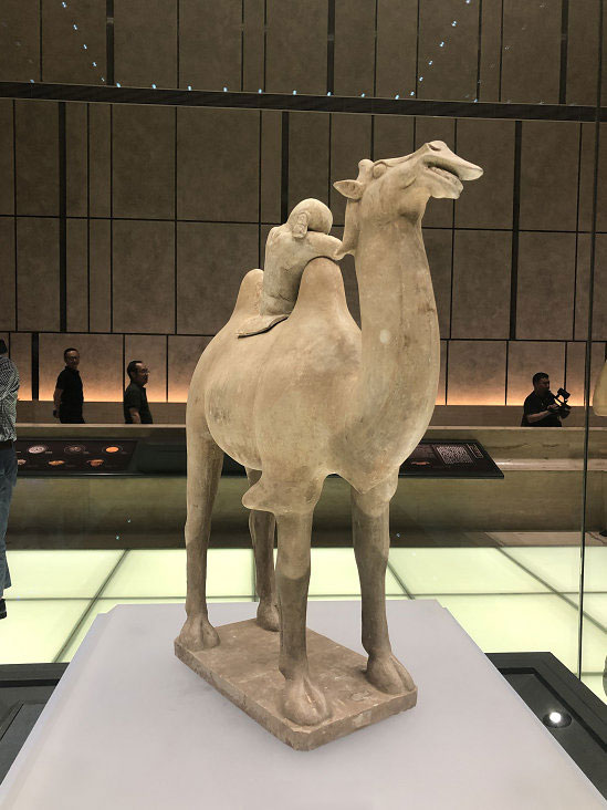 5d1098c364bc0.jpg