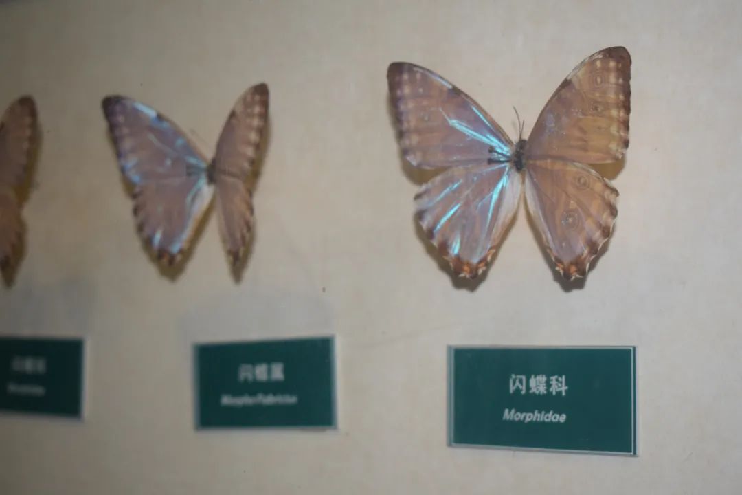 62988cf682ef3.jpg