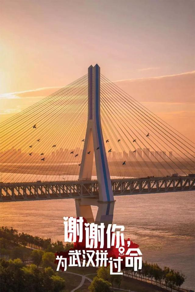 5e7497537f167.jpg