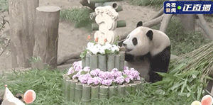 64c7c44c9fc5b.gif