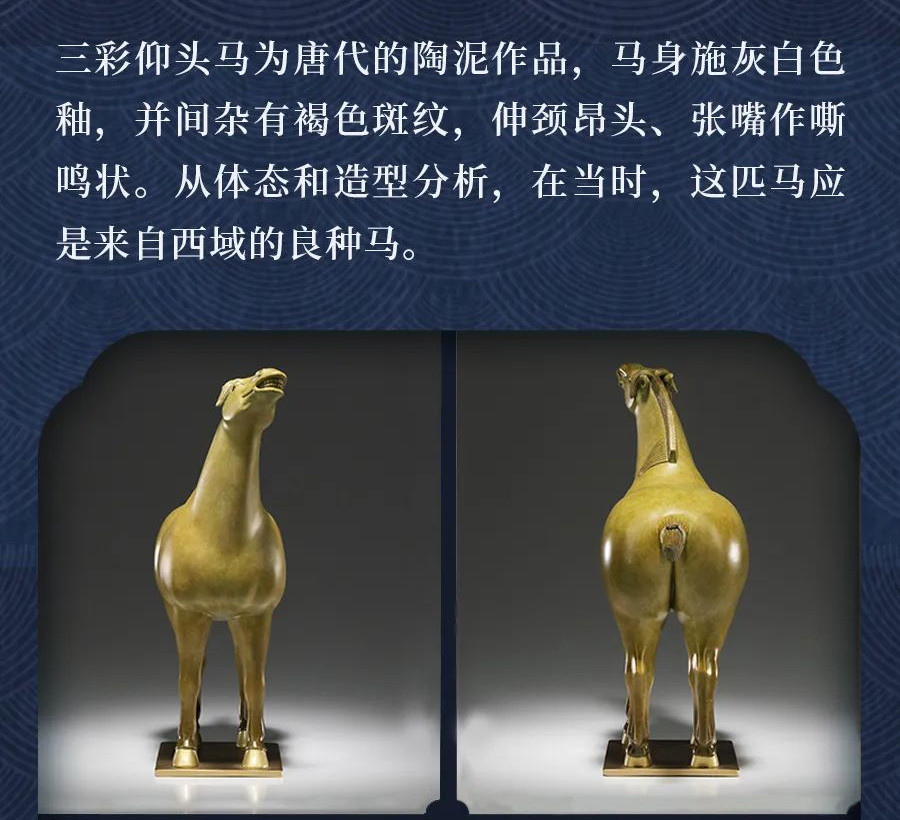 62666ce27ab9d.jpg
