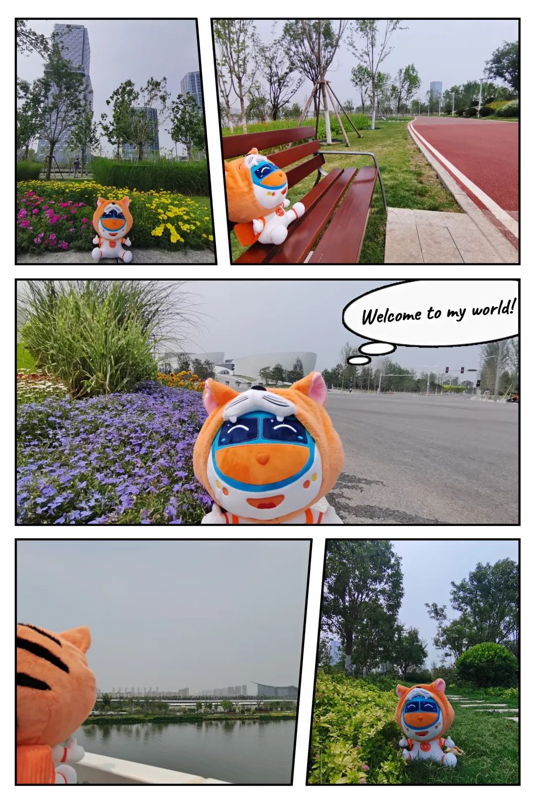 6295e6a0ce1c1.jpg