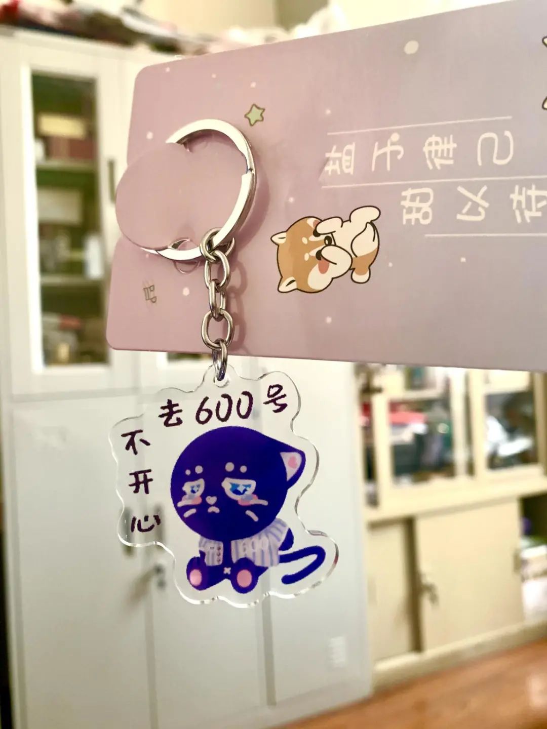 63ef36bcd9a9d.jpg