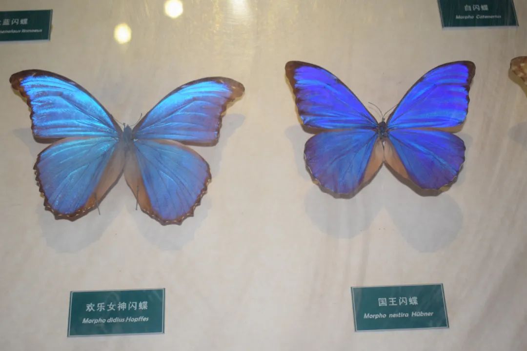 62988cf7181fe.jpg