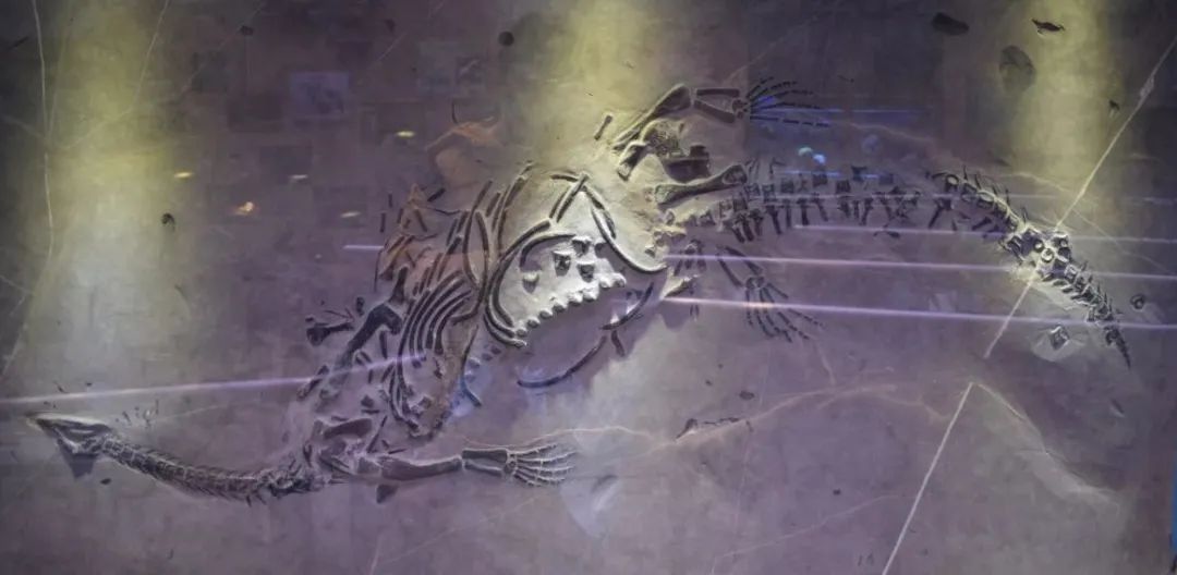 62988ad5c2150.jpg