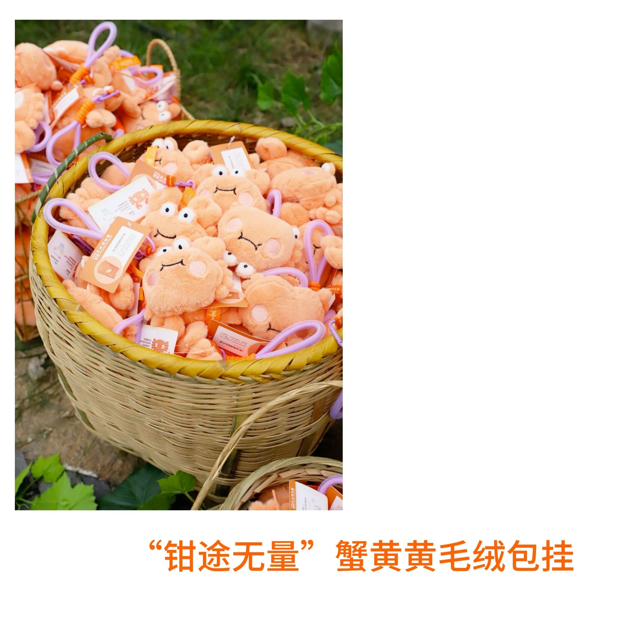 670608b6d4e2a.jpg