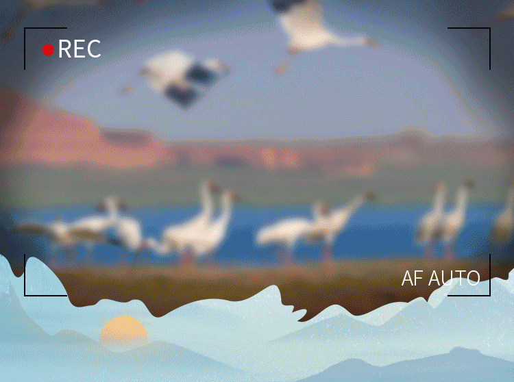 6363322255edf.gif