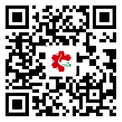 624805883cdce.png