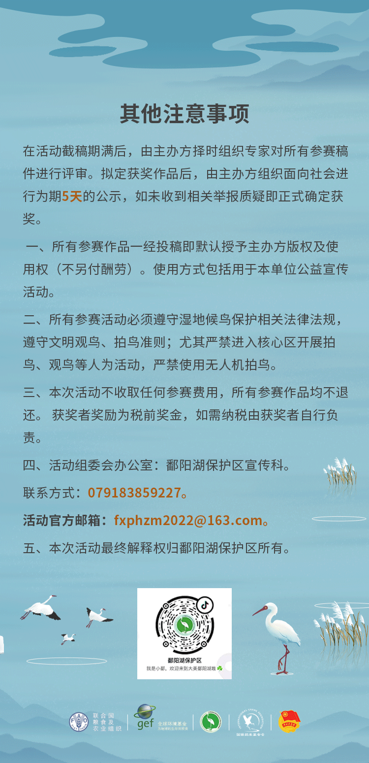 6363322128273.gif